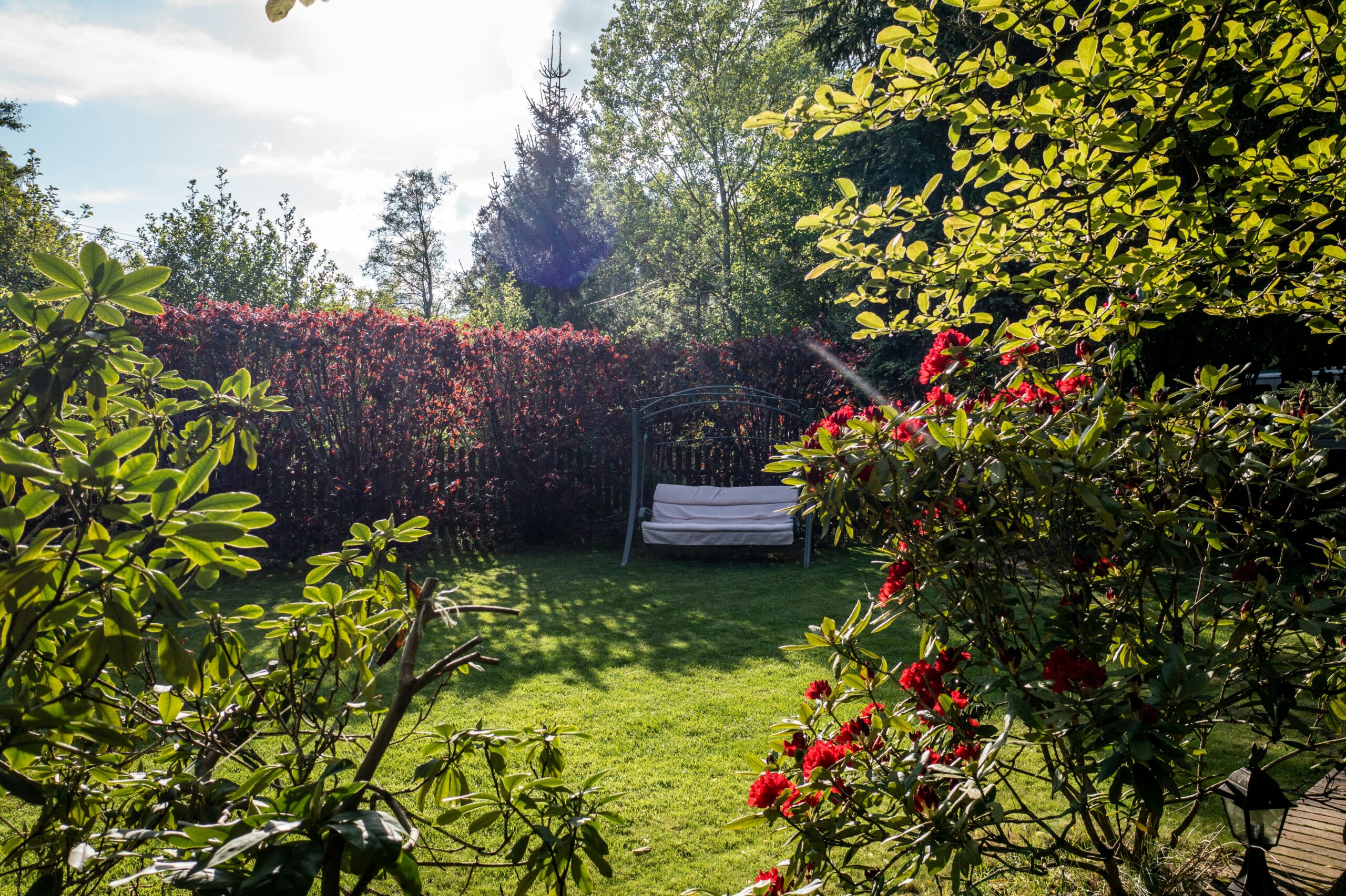 Gardening in Raleigh with a cushioned bench swing surrounded by vibrant red flowering bushes, green lawn, and leafy trees on a sunny day.