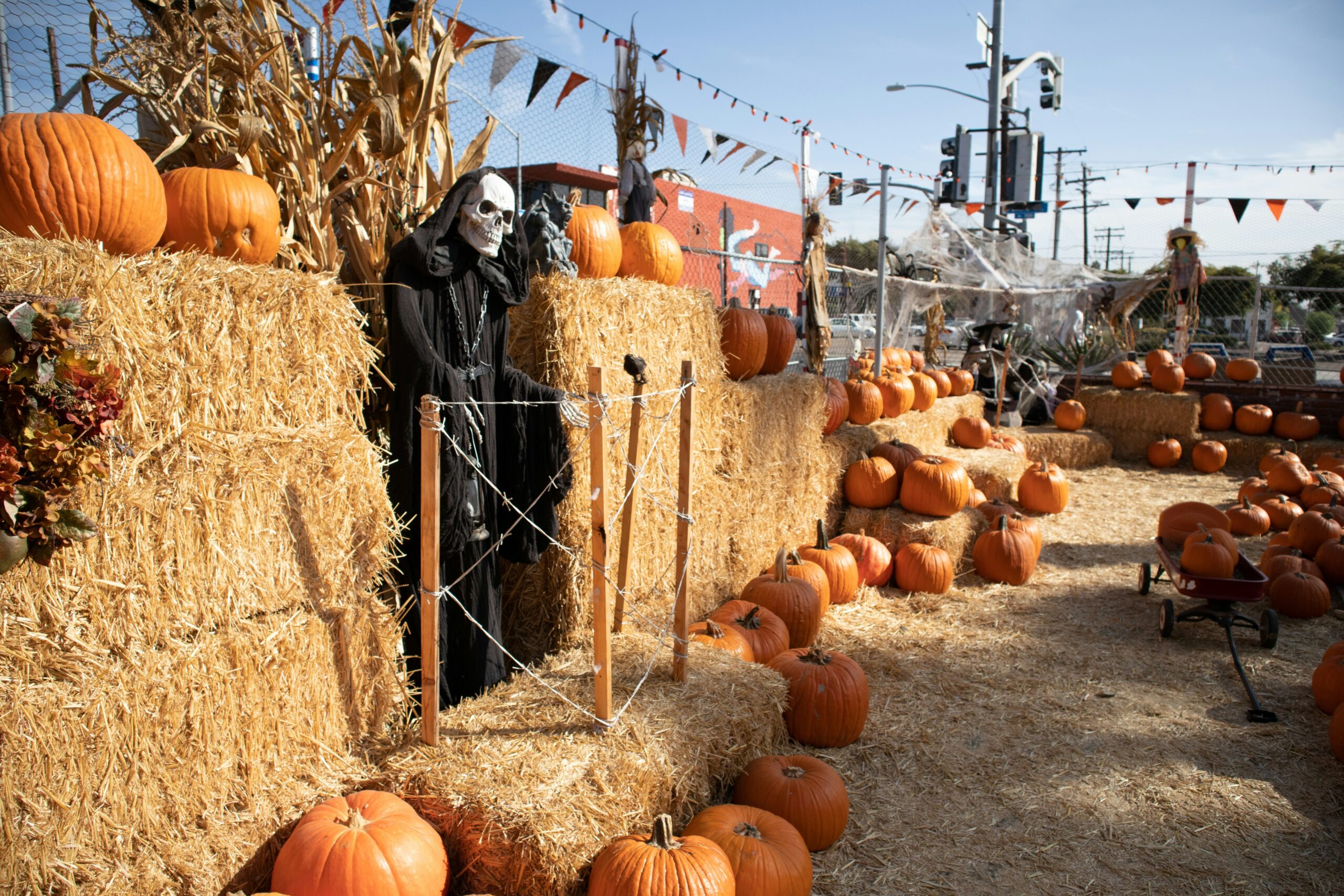 Raleigh Fall Activities: Pumpkin Patches, Hayrides & Cozy Farm Fun