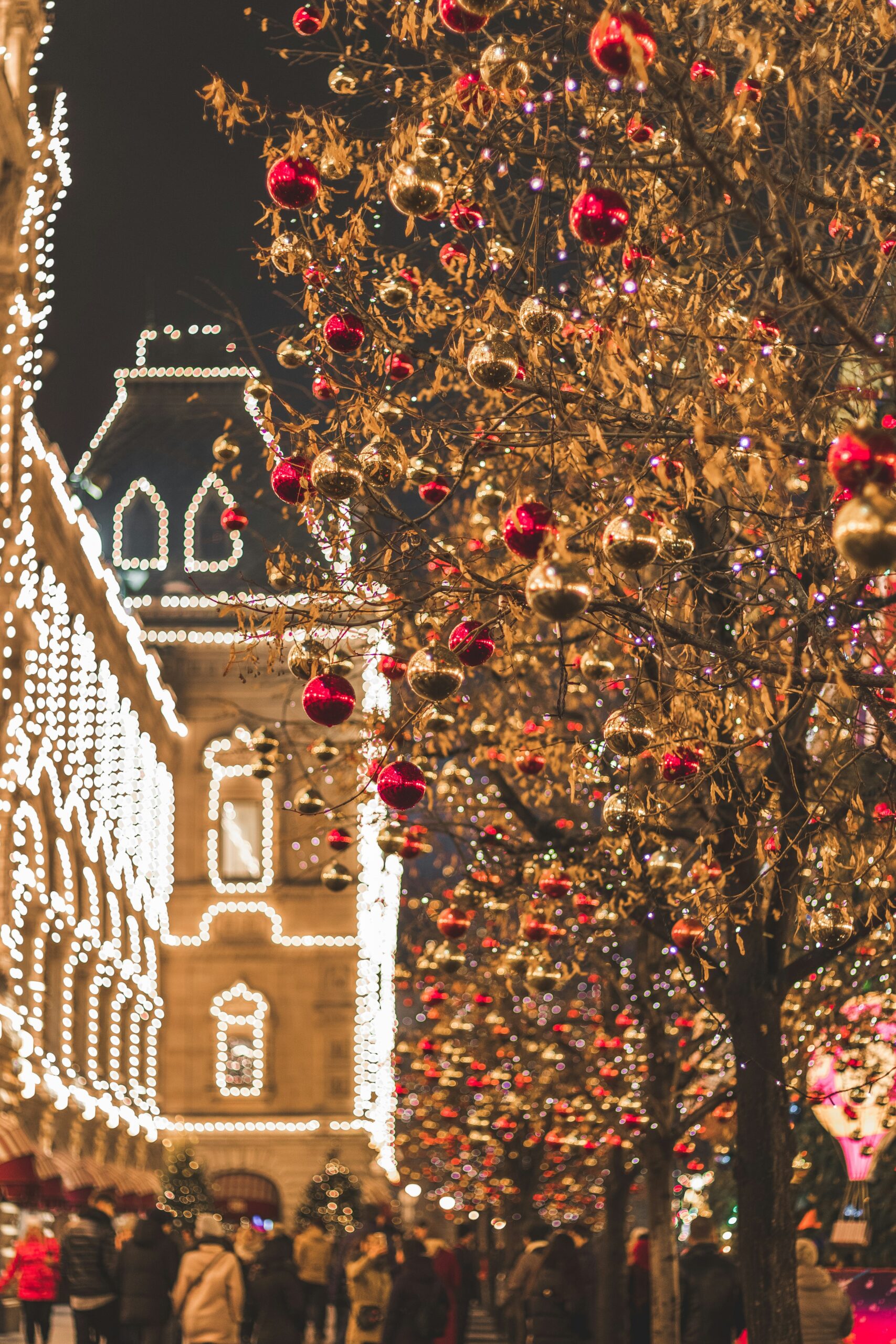 Christmas street lined with trees decorated with red and gold ornaments and bright holiday lights at night. Inspiring Raleigh Holiday Activities
