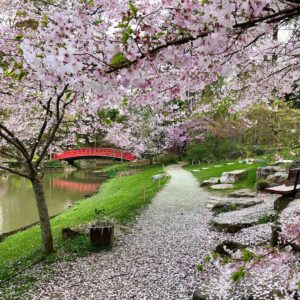 The Gardens Aboretum perfect for Mother's Day