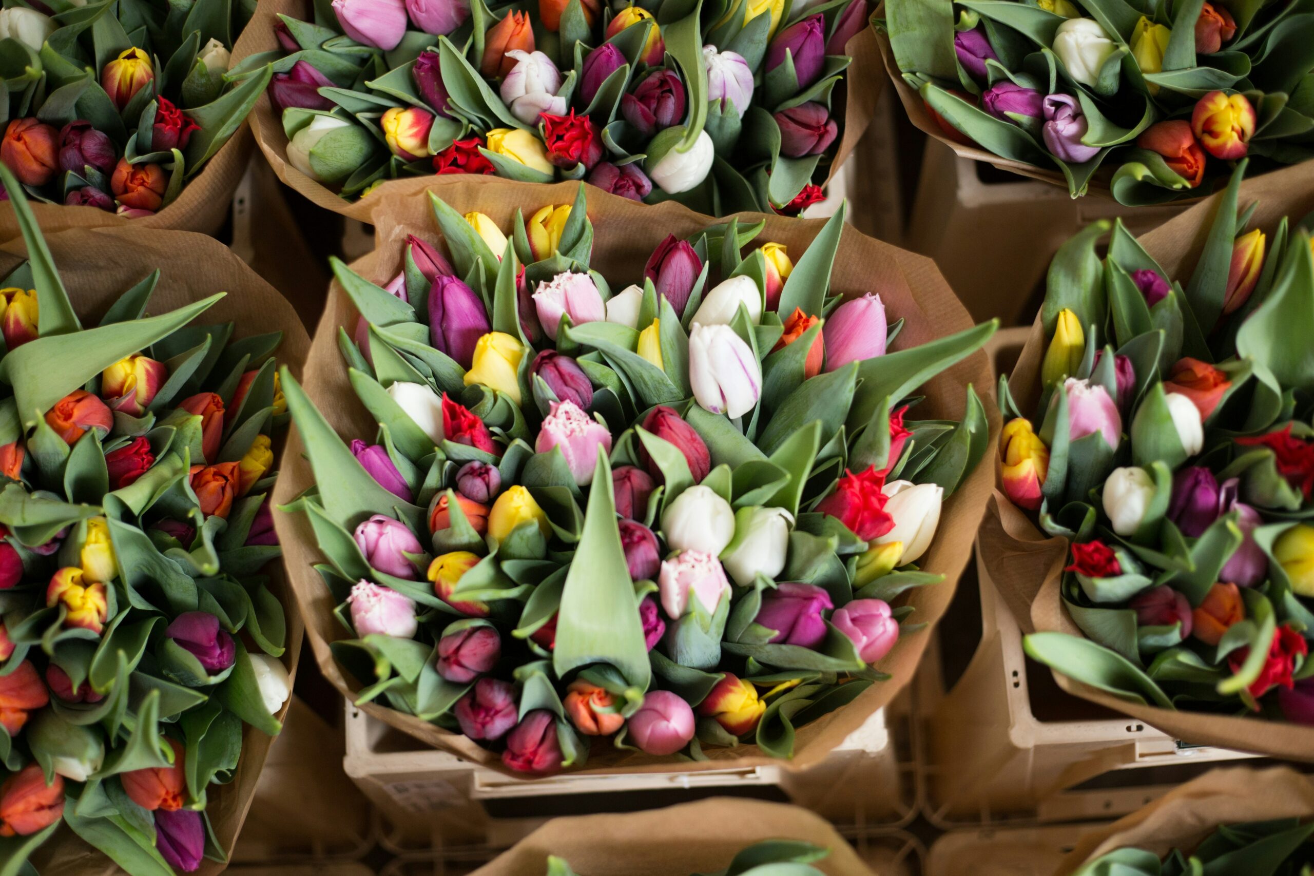 A close-up of paper-wrapped tulips arranged in a bouquet for Mother's Day Events